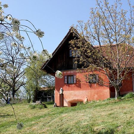 Ferienwohnungen Sonnenberg Рач-ан-дер-Вайнштрассе Экстерьер фото